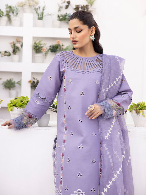 DS-12 | 3 PC Unstitched